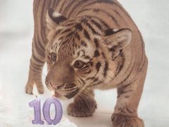 -聚福SHANGHAILANDER(乌鲁木齐南路店)