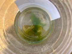 -日照海滨国家森林公园