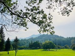 -福建鲤鱼洲酒店