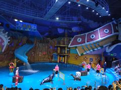 -烟台海昌鲸鲨海洋公园