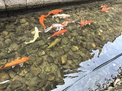 -前童古镇