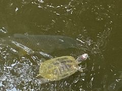 -世界之窗阿尔卑斯冰雪世界