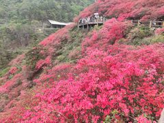 -木兰云雾山