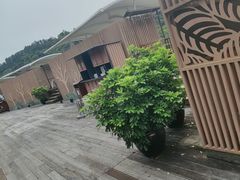 -碧水湾温泉
