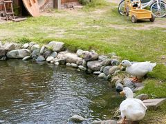 -HERRE·FARM 赫尔露营农场·团建聚会包场