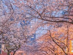 -富源春面馆(四川北路店)