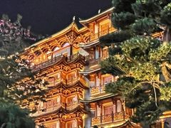 -大佛寺高级素食自助餐厅