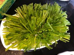 -葛记红焖羊肉(和平路形象店)