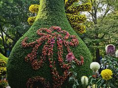 -杭州植物园