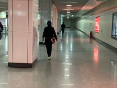 -杨高南路(地铁站)