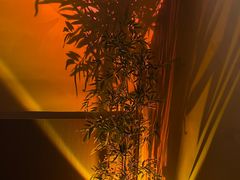-宁采臣Sleep·采耳·SPA放松馆(湖里万达店)