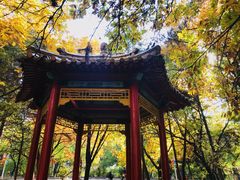 -吉林大学(南岭校区)