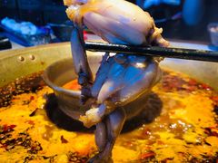 -哥老官重庆美蛙鱼头(虹口龙之梦店)