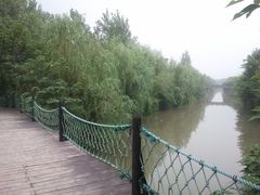 -溱湖国家湿地公园