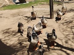 -鄂尔多斯野生动物园