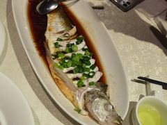 -金美华轩(东方路齐鲁店)