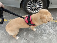 -欢唱KTV(映月湖环宇城店)