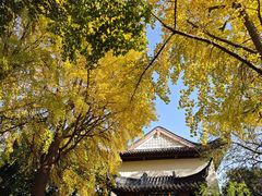 -郑和公园