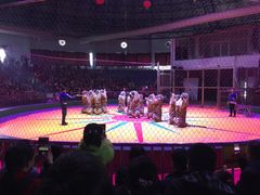 -西安秦岭野生动物园