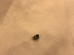 -雅典皇宫洗浴健身俱乐部(东岳大街店)