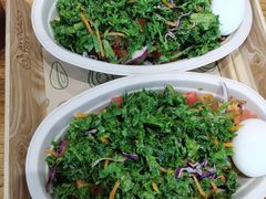 -油梨树 AVOCADO TREE(亮马桥店)