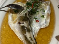 古法白水鱼-老洋房花园饭店(绍兴路店)