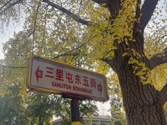 -三里屯东五街银杏大道