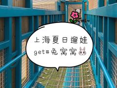 -季高兔窝窝亲子园(上海薰衣草公园店)