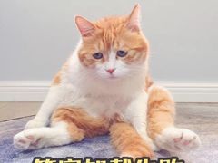 -椰子下蛋(南锣鼓巷店)