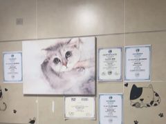 -谐和益家动物医院·免疫绝育·血液透析·宠保定点医院(高新伊藤分院)