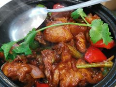 啫啫走地鸡-蔡澜点心·粤菜(月星环球港店)