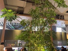 -gaga(深圳福田星河COCO Park店)