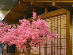 -极乐汤(川沙店)