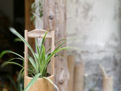 -南山植物园
