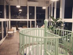 -有猫主题·治愈系猫咖(曾厝垵店)