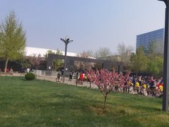 -丰台科技园生态主题公园