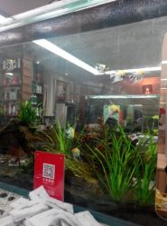 android_upload_pic-小左美发