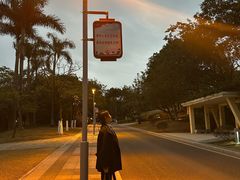 -东莞植物园
