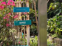-默迹咖啡馆