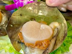 -陶缘一号·四季缘·老字号顺德菜·户外婚礼家宴(西滘店)