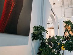 -Northand Coffee(来福士店)