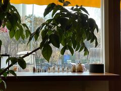 -琥珀咖啡 Ambercoffee