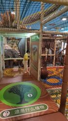 -卡通尼·Safari非洲探索乐园·生日会(金桥国际商业广场店)