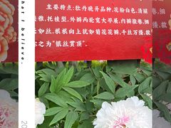 -洛阳市隋唐城遗址植物园