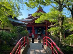-井之头恩赐公园