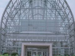 -南山植物园