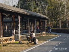 -八大山人梅湖景区