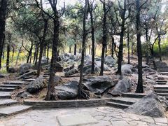 -浮来山风景区