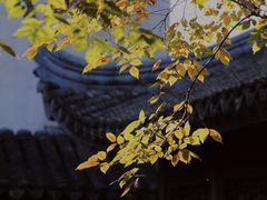 -秋霞圃