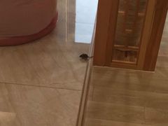 -汤里来温泉